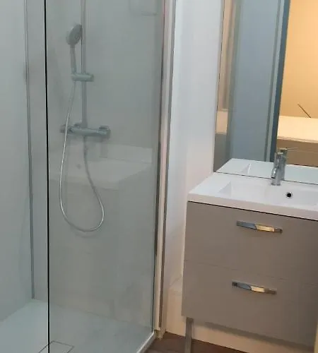 Des Cordeliers Avec Parking * Albi